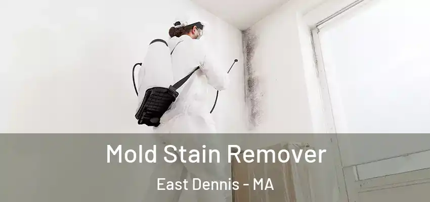  Mold Stain Remover East Dennis - MA