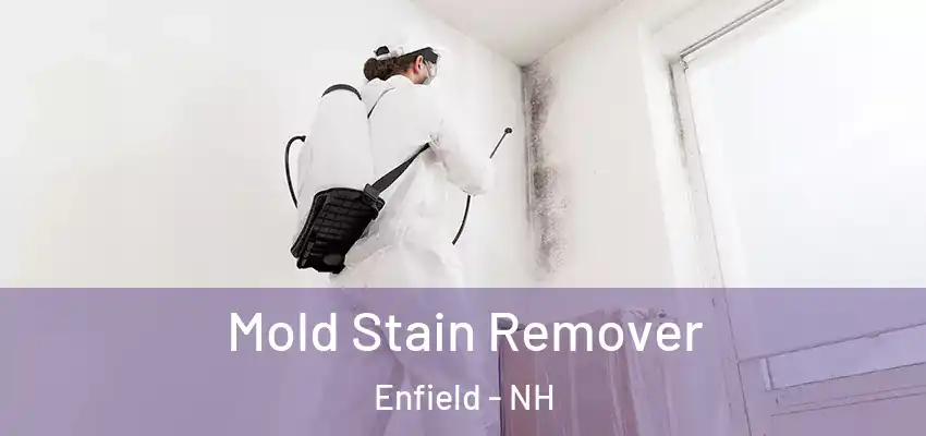Mold Stain Remover Enfield - NH
