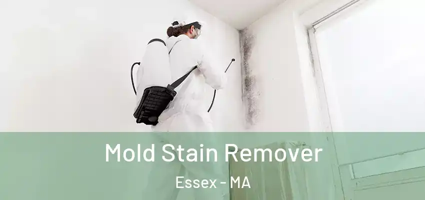  Mold Stain Remover Essex - MA