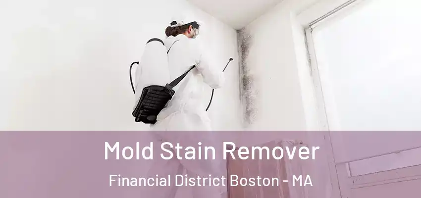  Mold Stain Remover Financial District Boston - MA