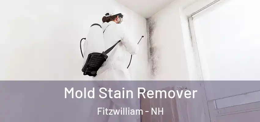 Mold Stain Remover Fitzwilliam - NH