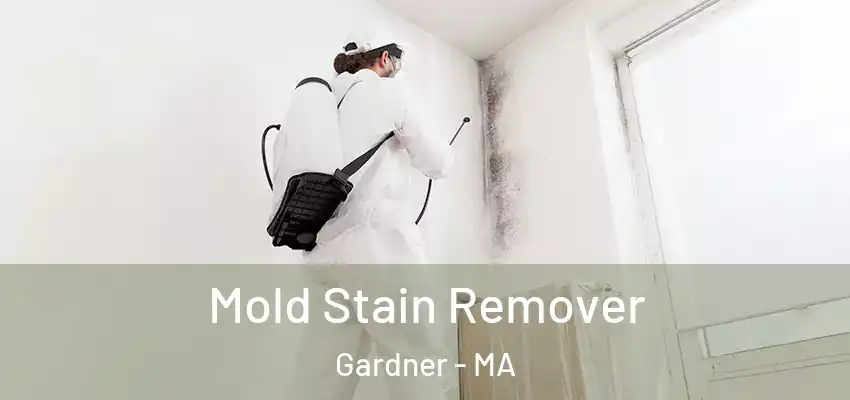 Mold Stain Remover Gardner - MA