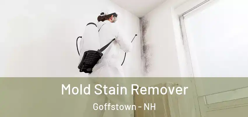  Mold Stain Remover Goffstown - NH