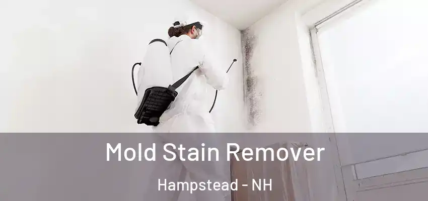  Mold Stain Remover Hampstead - NH
