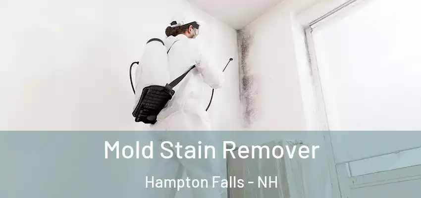  Mold Stain Remover Hampton Falls - NH