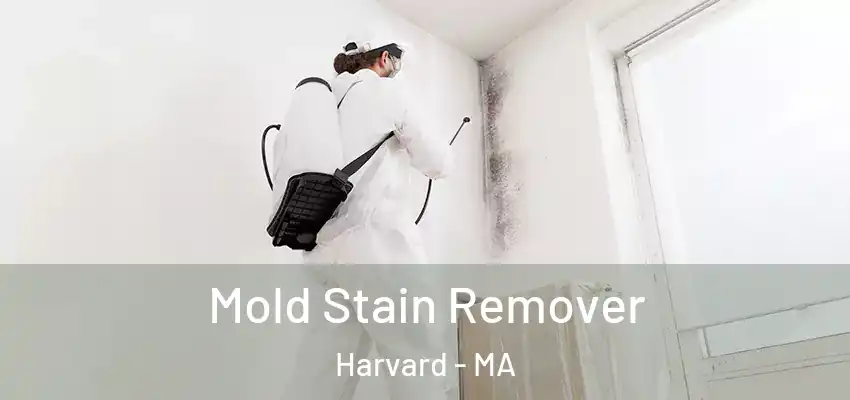  Mold Stain Remover Harvard - MA