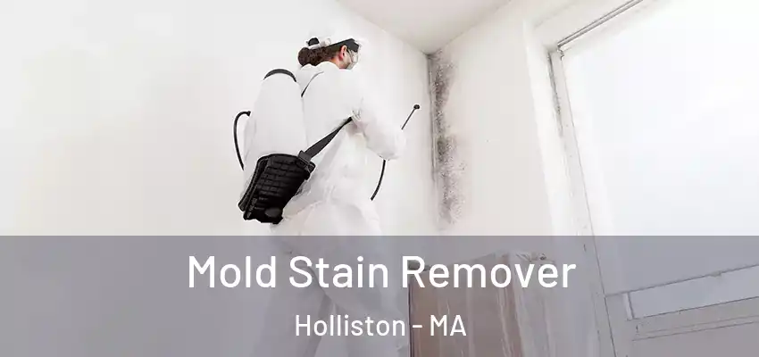 Mold Stain Remover Holliston - MA