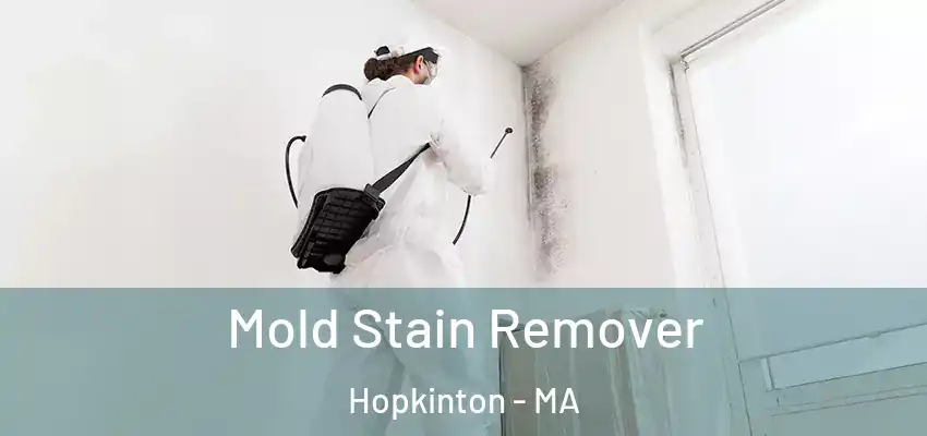 Mold Stain Remover Hopkinton - MA