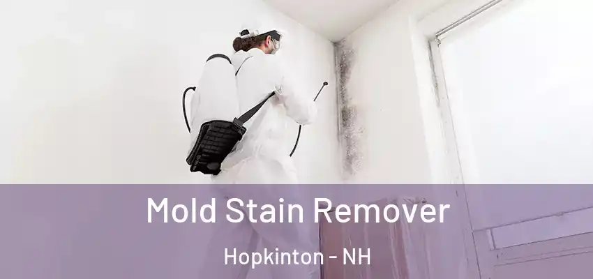 Mold Stain Remover Hopkinton - NH