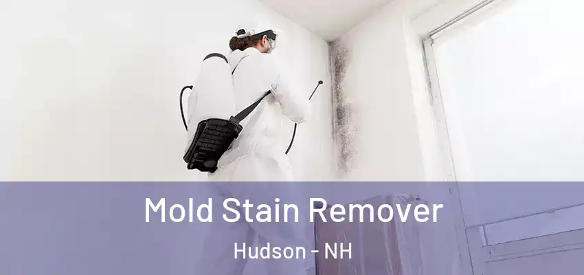  Mold Stain Remover Hudson - NH