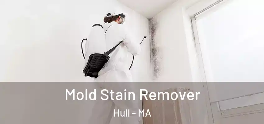  Mold Stain Remover Hull - MA
