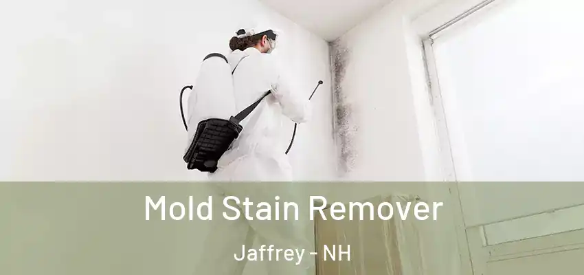 Mold Stain Remover Jaffrey - NH
