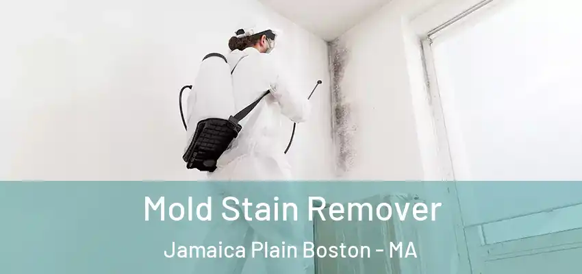 Mold Stain Remover Jamaica Plain Boston - MA