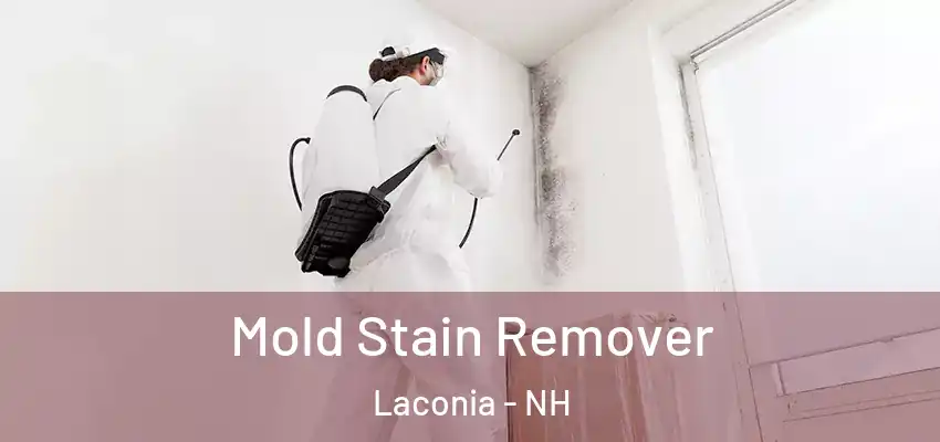 Mold Stain Remover Laconia - NH
