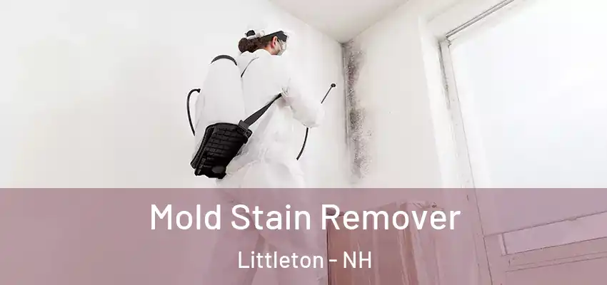 Mold Stain Remover Littleton - NH