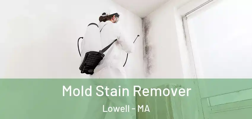 Mold Stain Remover Lowell - MA