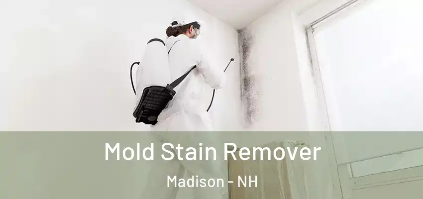  Mold Stain Remover Madison - NH