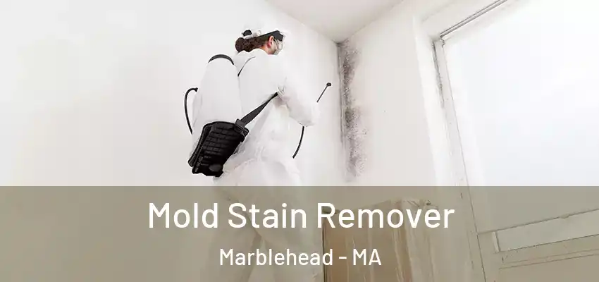 Mold Stain Remover Marblehead - MA