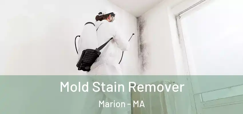 Mold Stain Remover Marion - MA