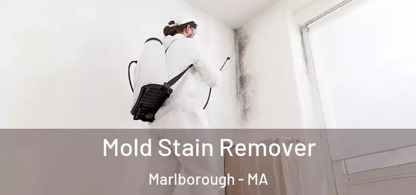 Mold Stain Remover Marlborough - MA