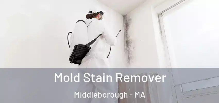  Mold Stain Remover Middleborough - MA