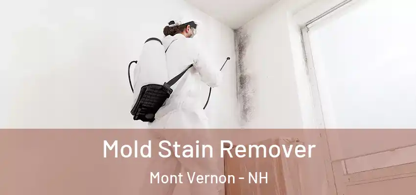 Mold Stain Remover Mont Vernon - NH