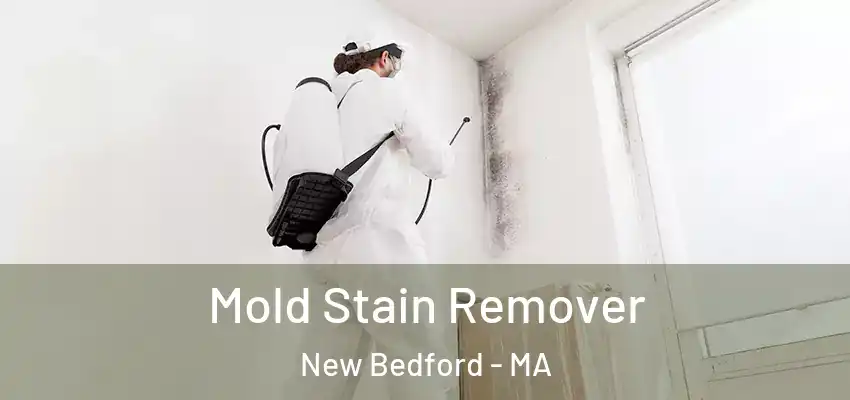 Mold Stain Remover New Bedford - MA