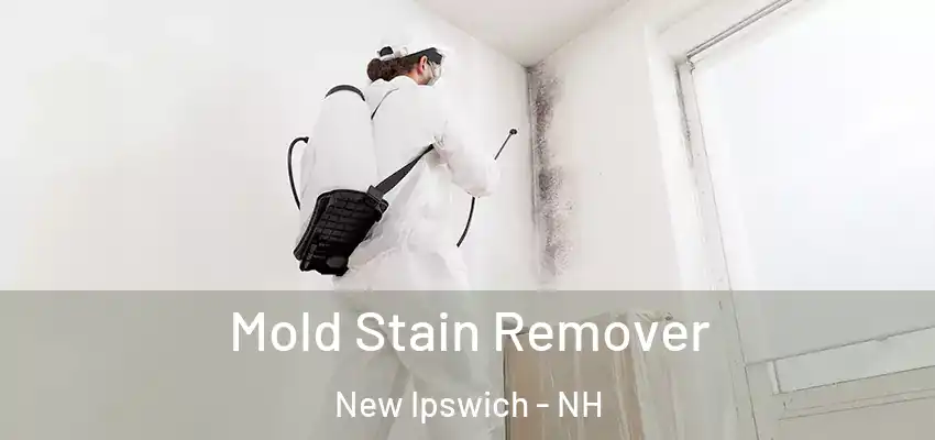 Mold Stain Remover New Ipswich - NH