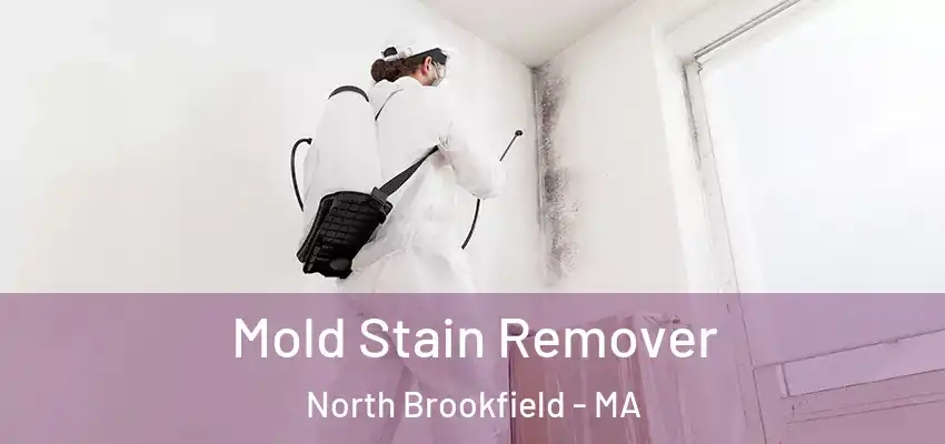 Mold Stain Remover North Brookfield - MA