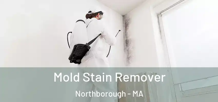 Mold Stain Remover Northborough - MA