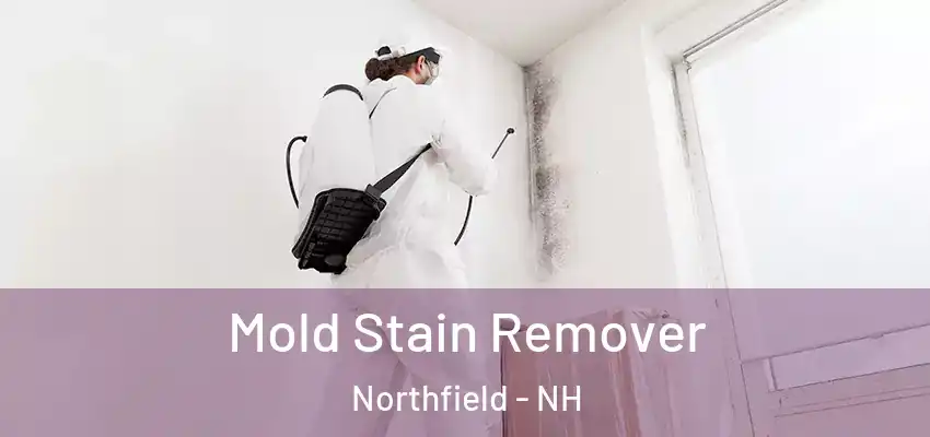  Mold Stain Remover Northfield - NH