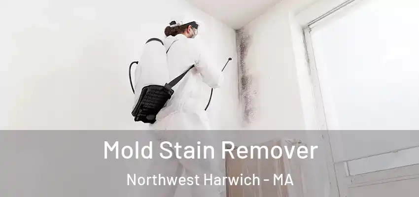  Mold Stain Remover Northwest Harwich - MA