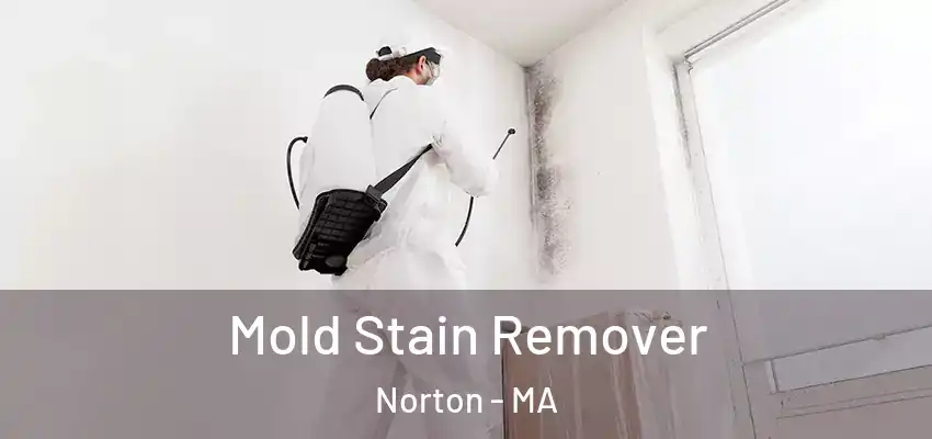 Mold Stain Remover Norton - MA