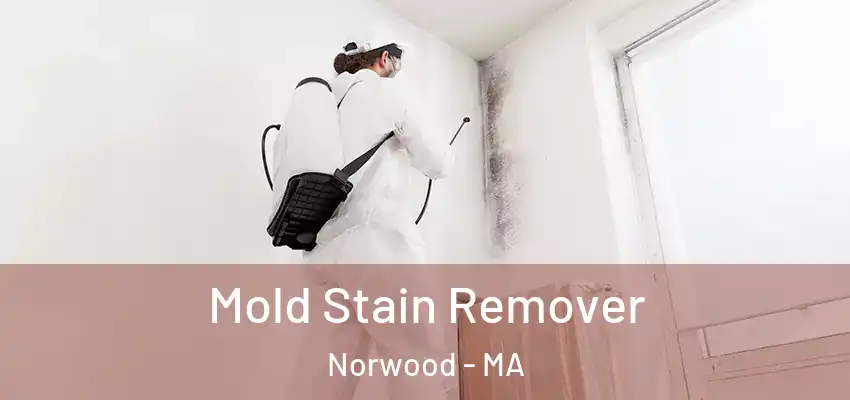  Mold Stain Remover Norwood - MA