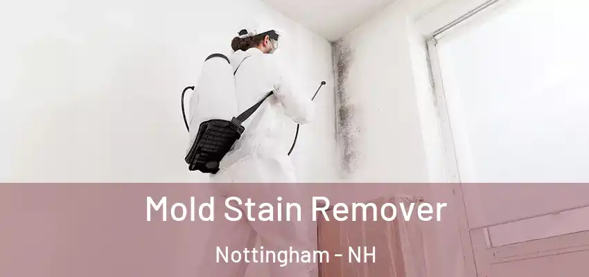  Mold Stain Remover Nottingham - NH