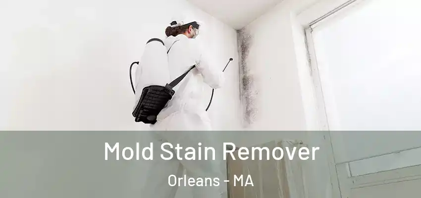 Mold Stain Remover Orleans - MA
