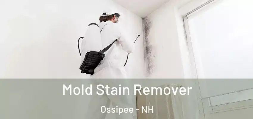 Mold Stain Remover Ossipee - NH