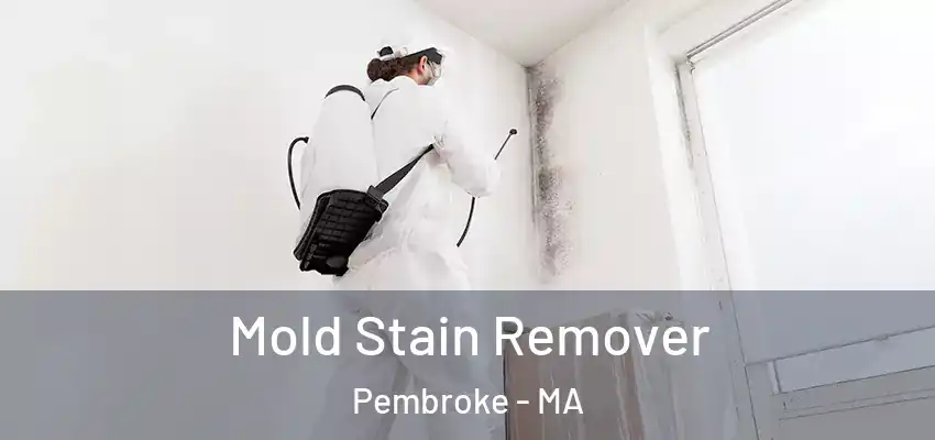  Mold Stain Remover Pembroke - MA
