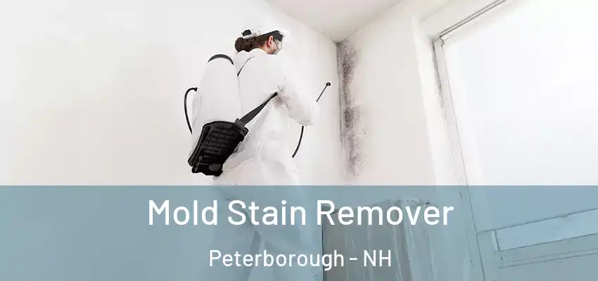 Mold Stain Remover Peterborough - NH
