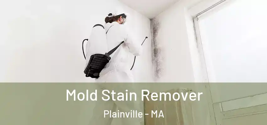  Mold Stain Remover Plainville - MA
