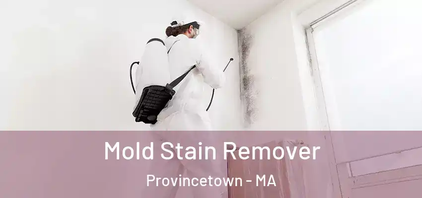  Mold Stain Remover Provincetown - MA