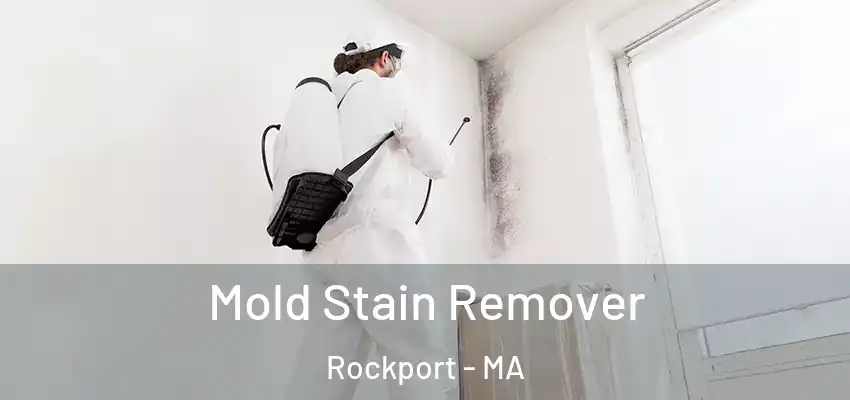  Mold Stain Remover Rockport - MA