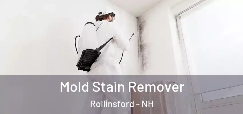  Mold Stain Remover Rollinsford - NH