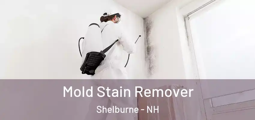 Mold Stain Remover Shelburne - NH