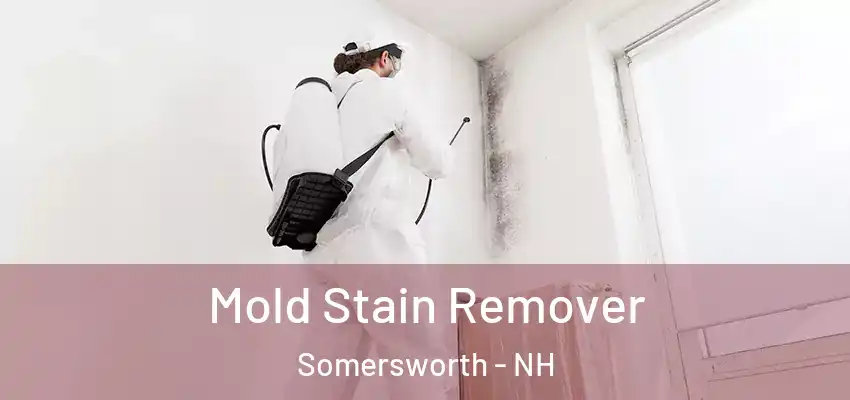  Mold Stain Remover Somersworth - NH