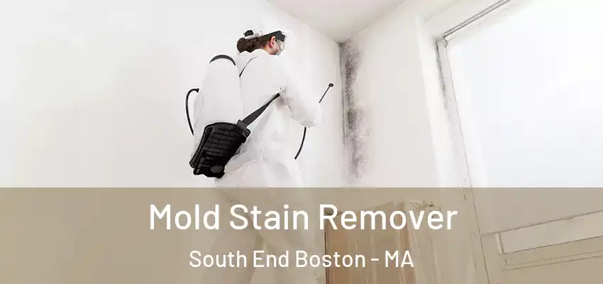  Mold Stain Remover South End Boston - MA