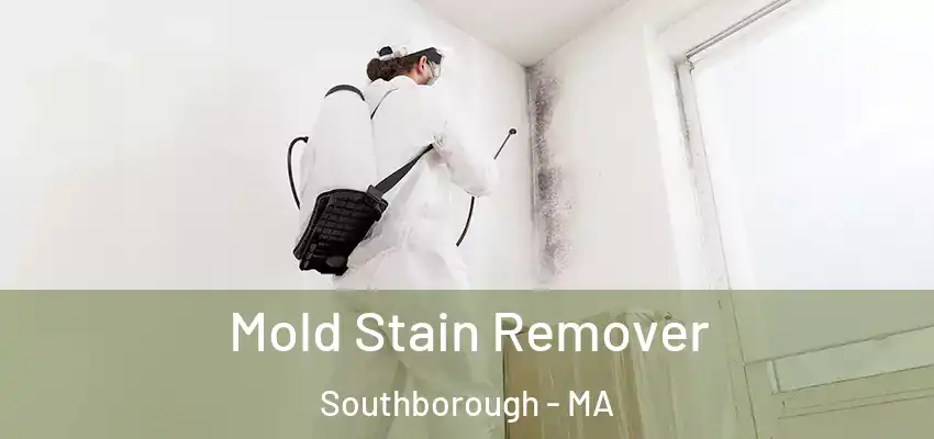 Mold Stain Remover Southborough - MA