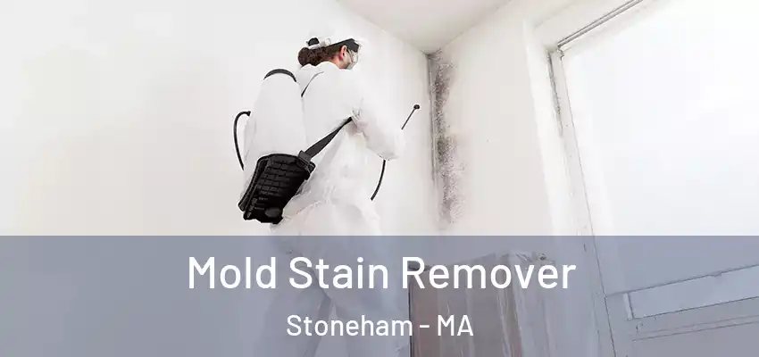  Mold Stain Remover Stoneham - MA