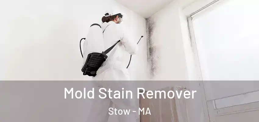  Mold Stain Remover Stow - MA