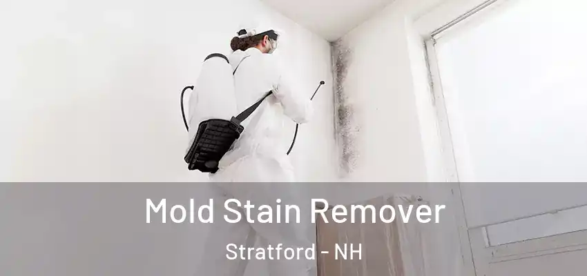 Mold Stain Remover Stratford - NH